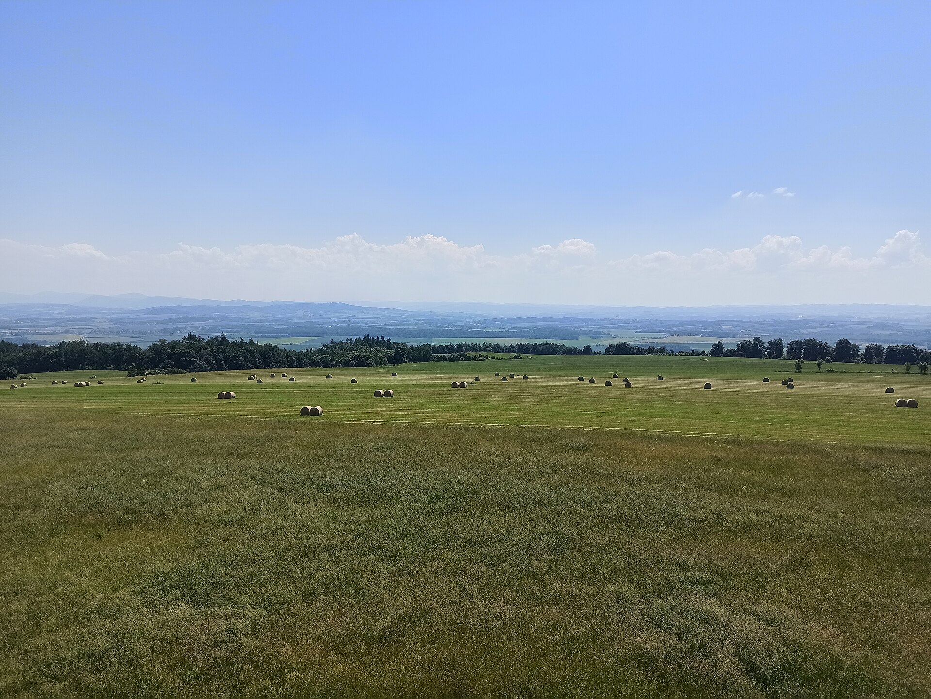 Veselská rozhledna výhled
