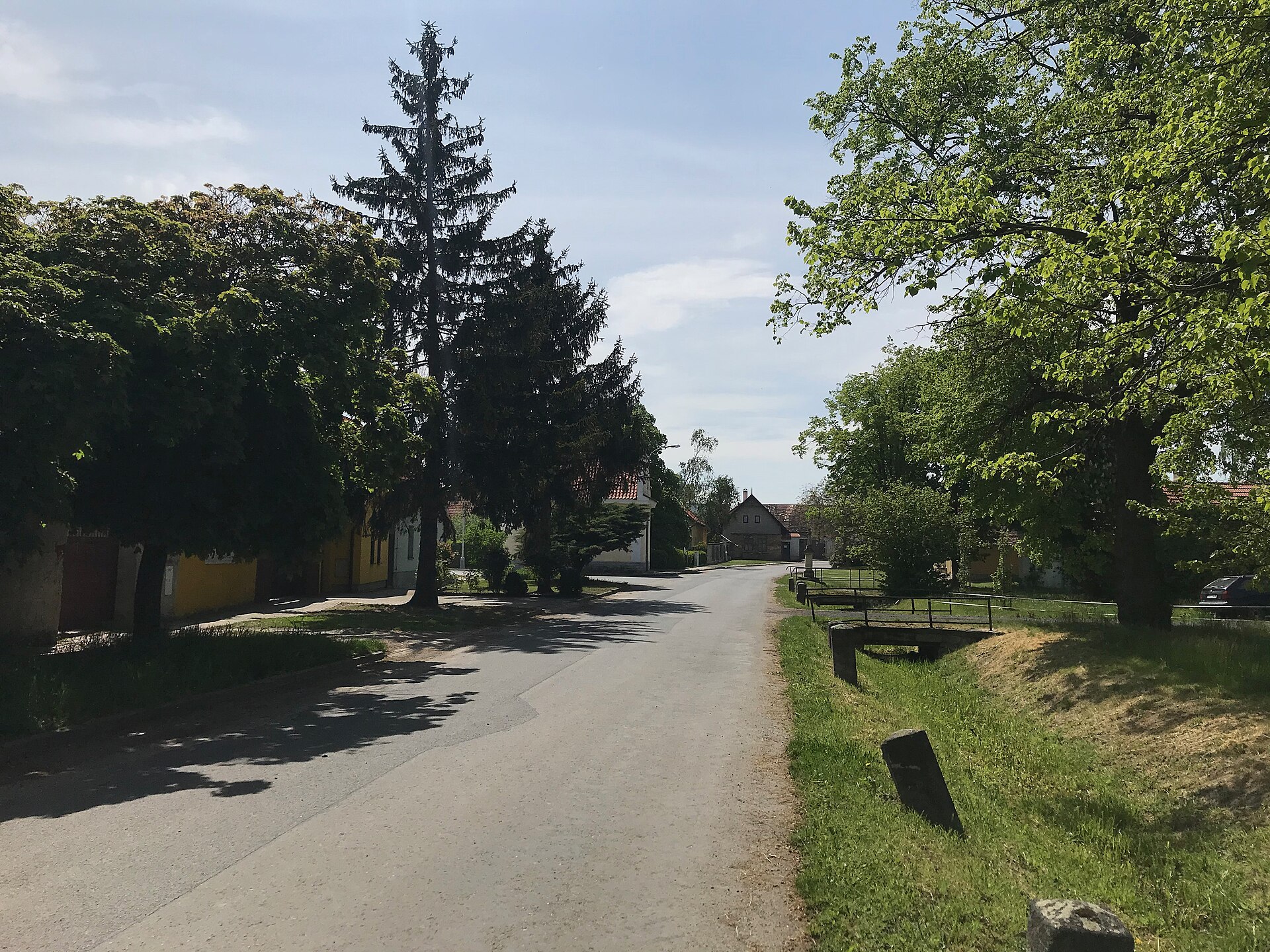 Overview of road in Starý Vestec, Nymburk District