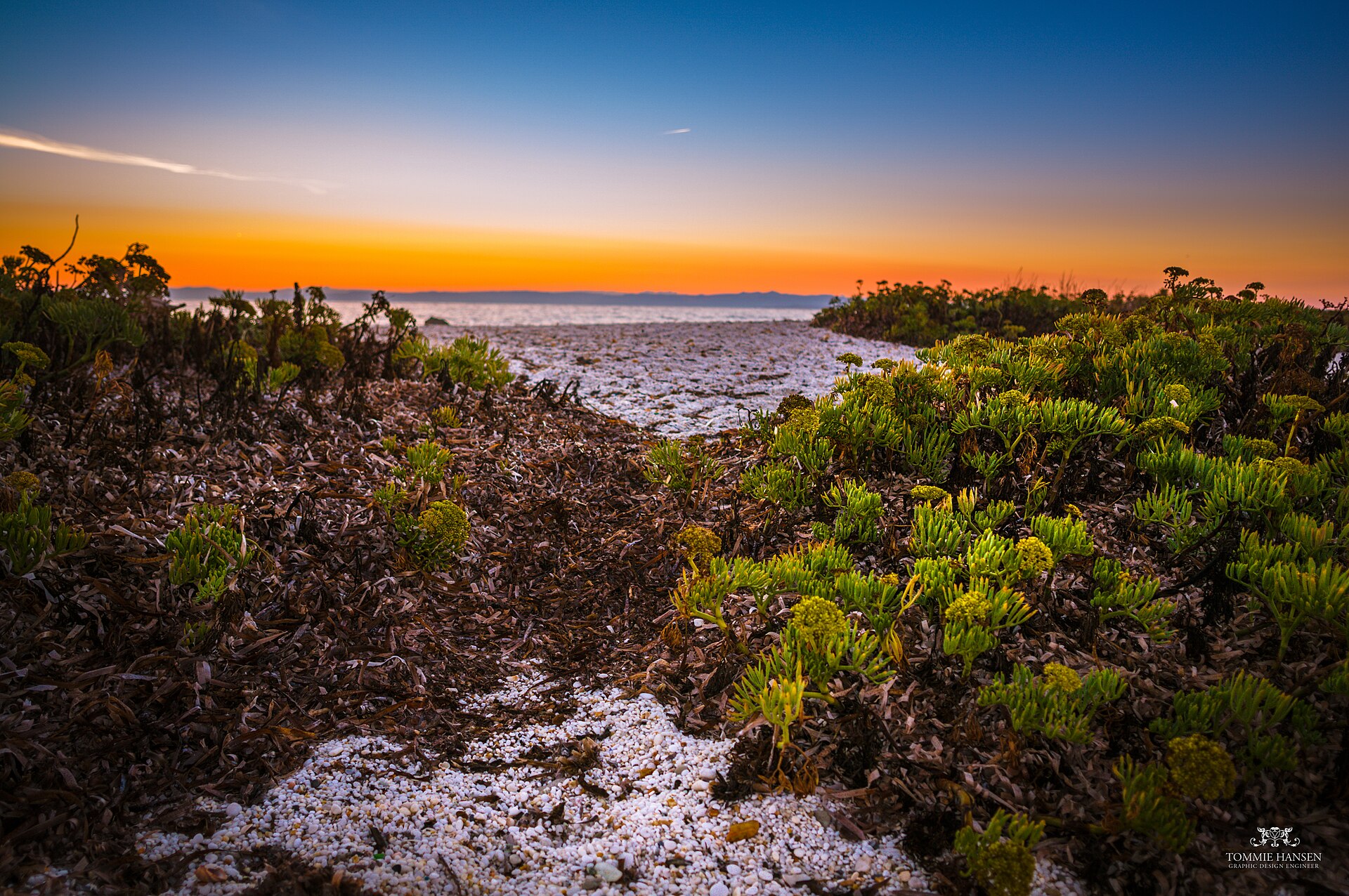 Sunrise and Foliage at Spiaggia delle Saline Beach, Stintino (Sardinia, Italy) (24039252402)