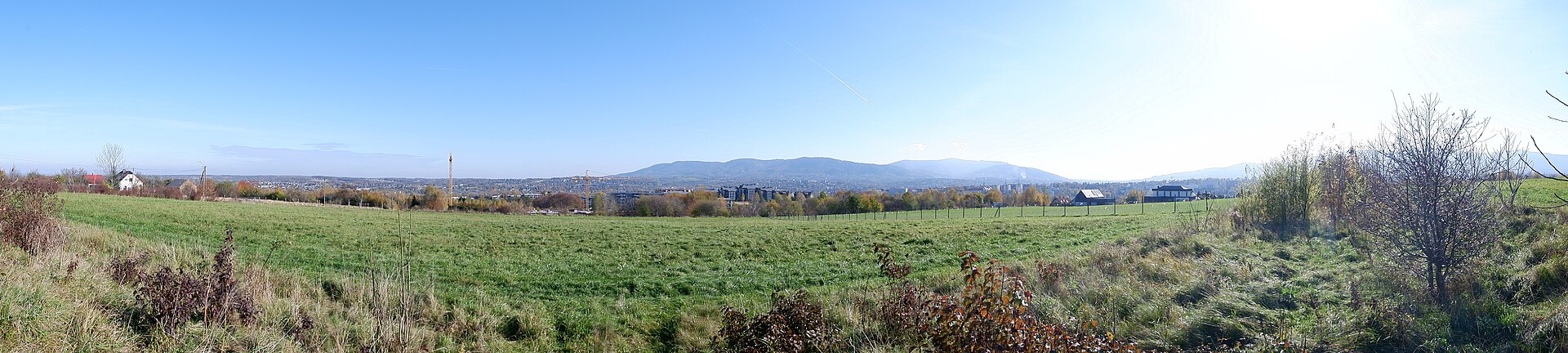 Bielsko-Biała, Trzy Lipki, polana 05