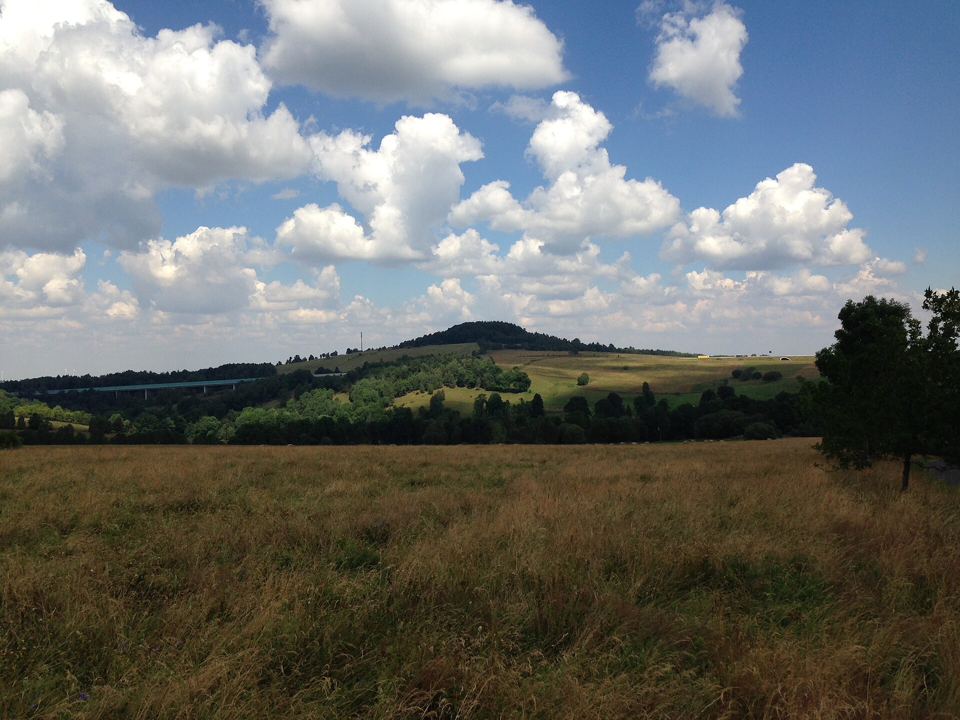Špičák (723 m), pohled z jihu, 07-2014