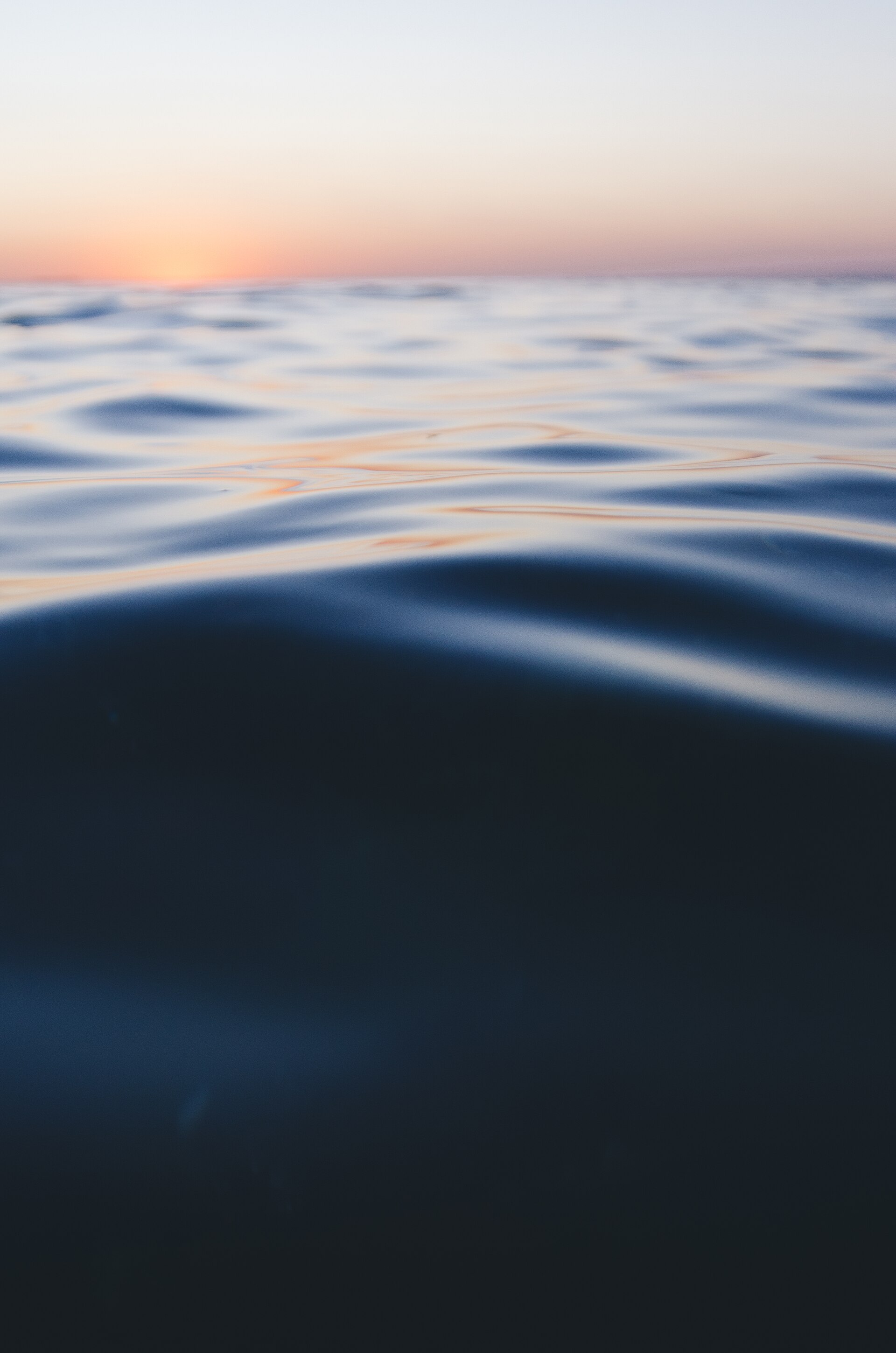Be Cool (Unsplash)