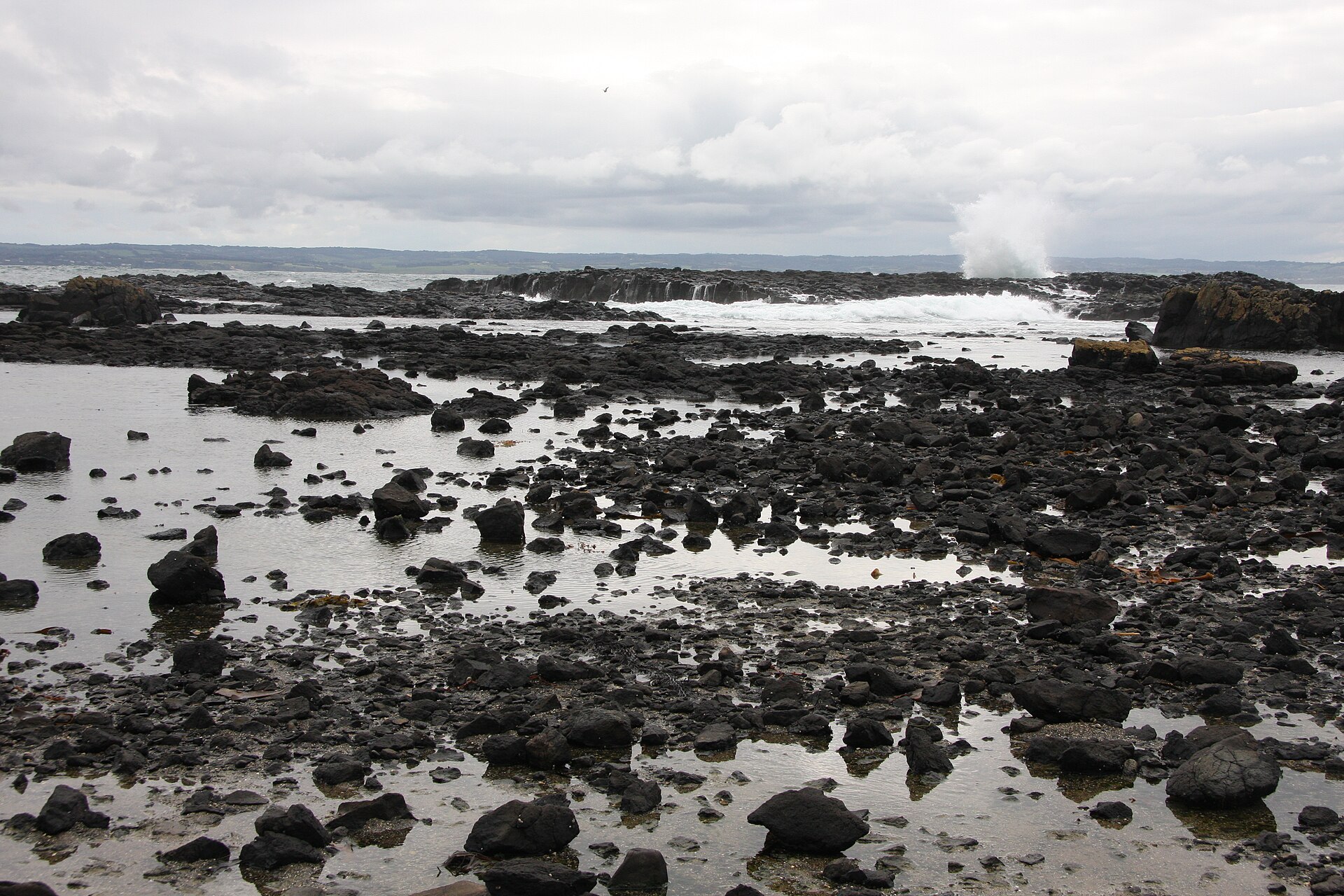 Cowrie Beach Phillip Island Victoria - panoramio