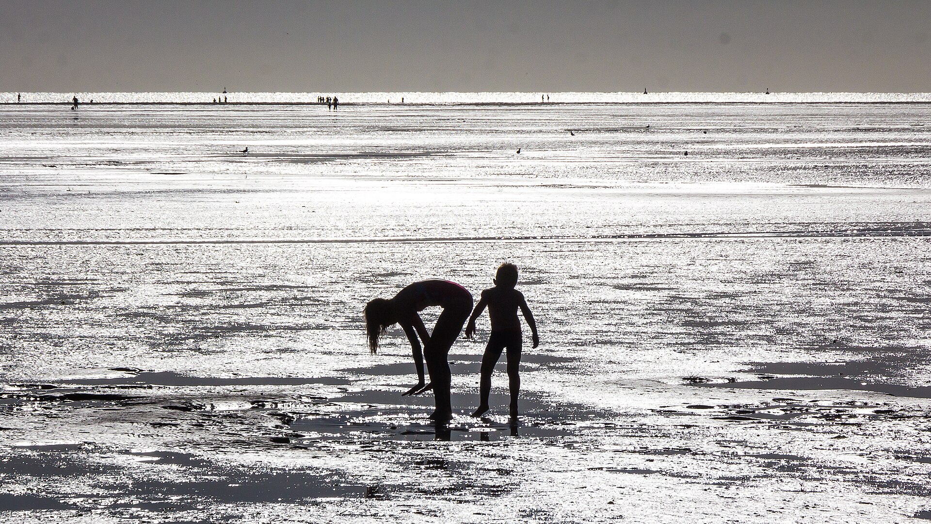 Beach of Le Crotoy-0542