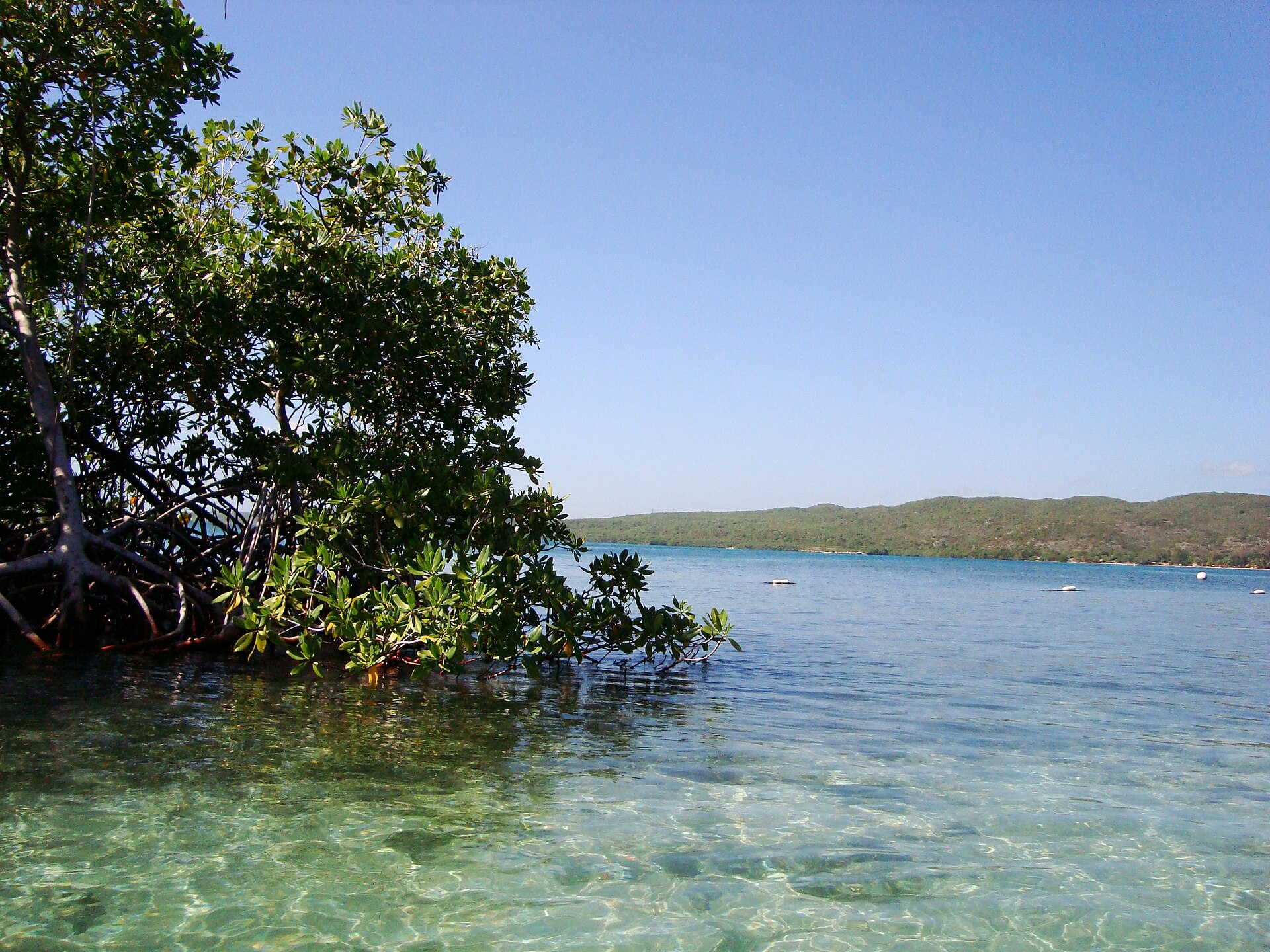 Views of the main island from Guilligan's Island - panoramio - Jose L. Dominguez