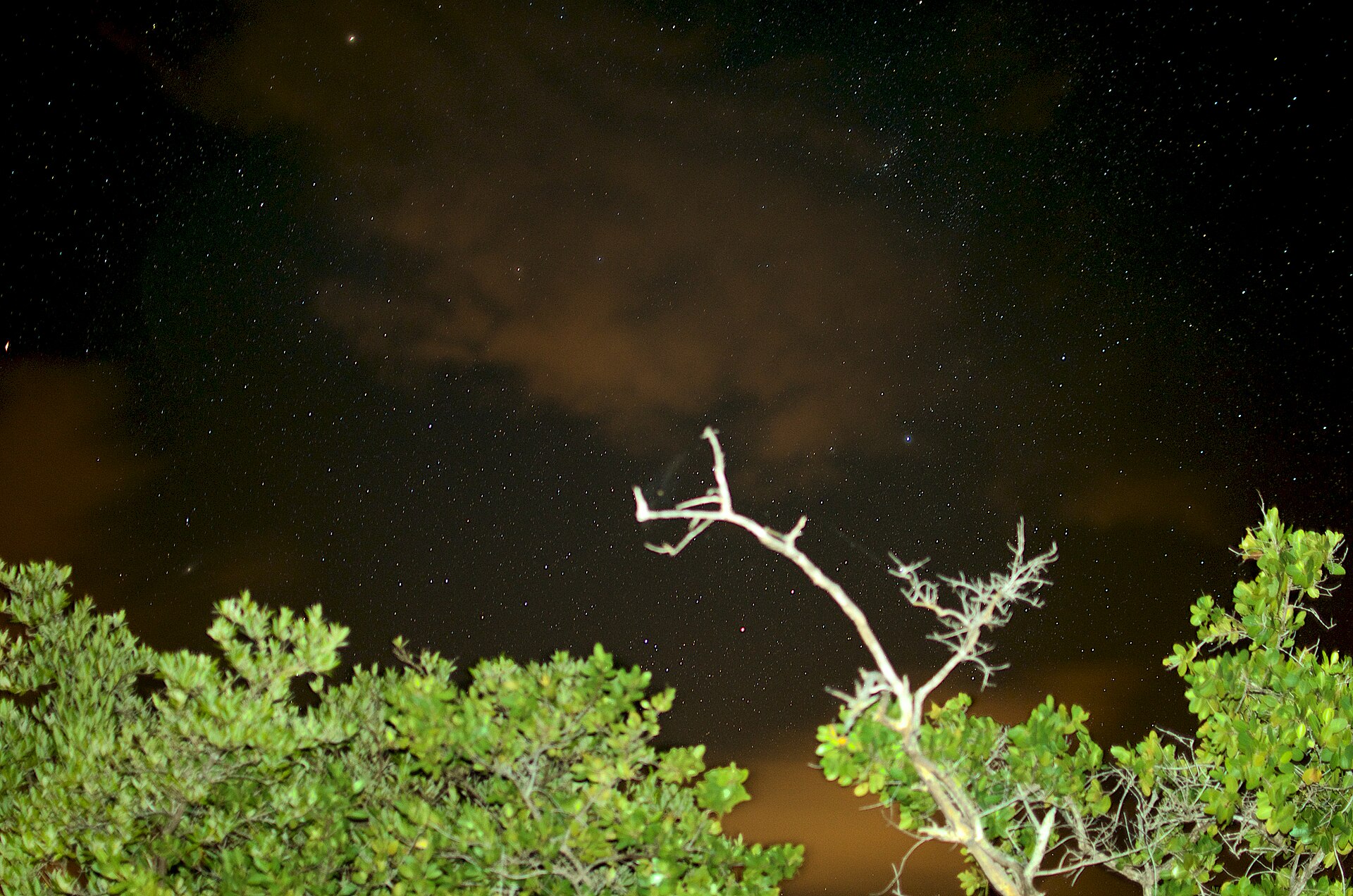 Mosquito bay, Bioluminescent bay, Vieques - panoramio
