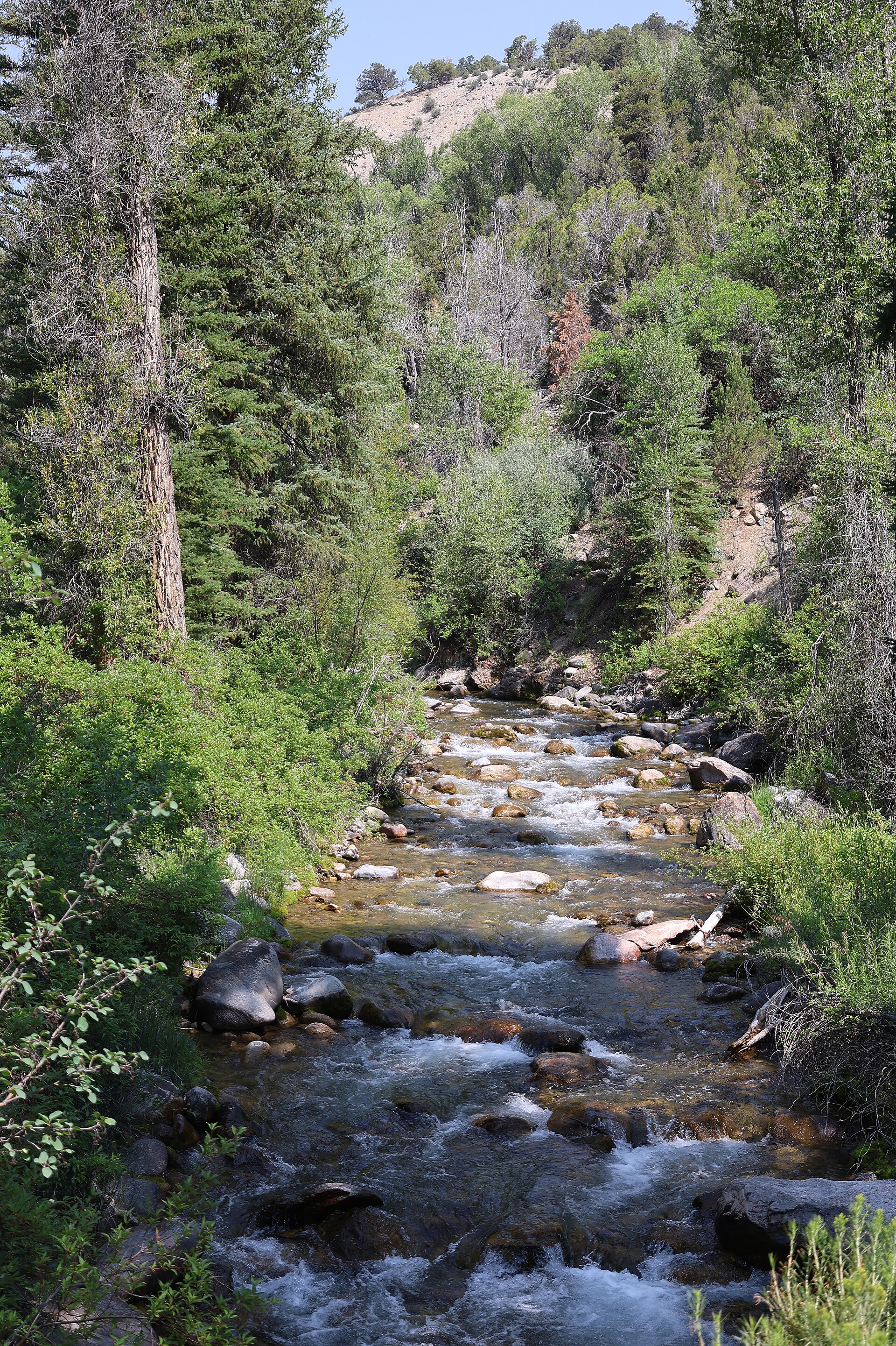 Deep Creek (Colorado River tributary)