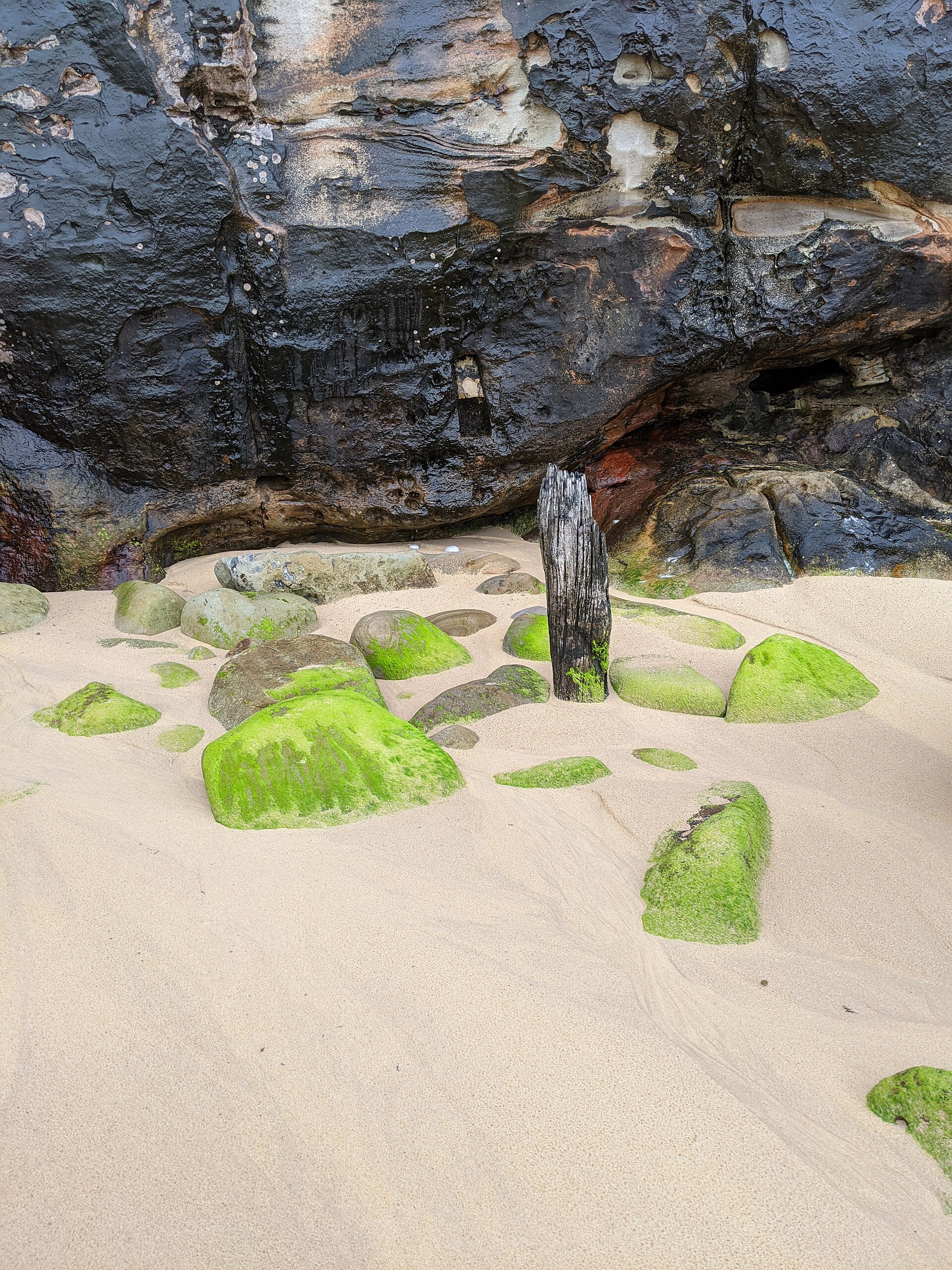 North Curl Curl Beach 2021