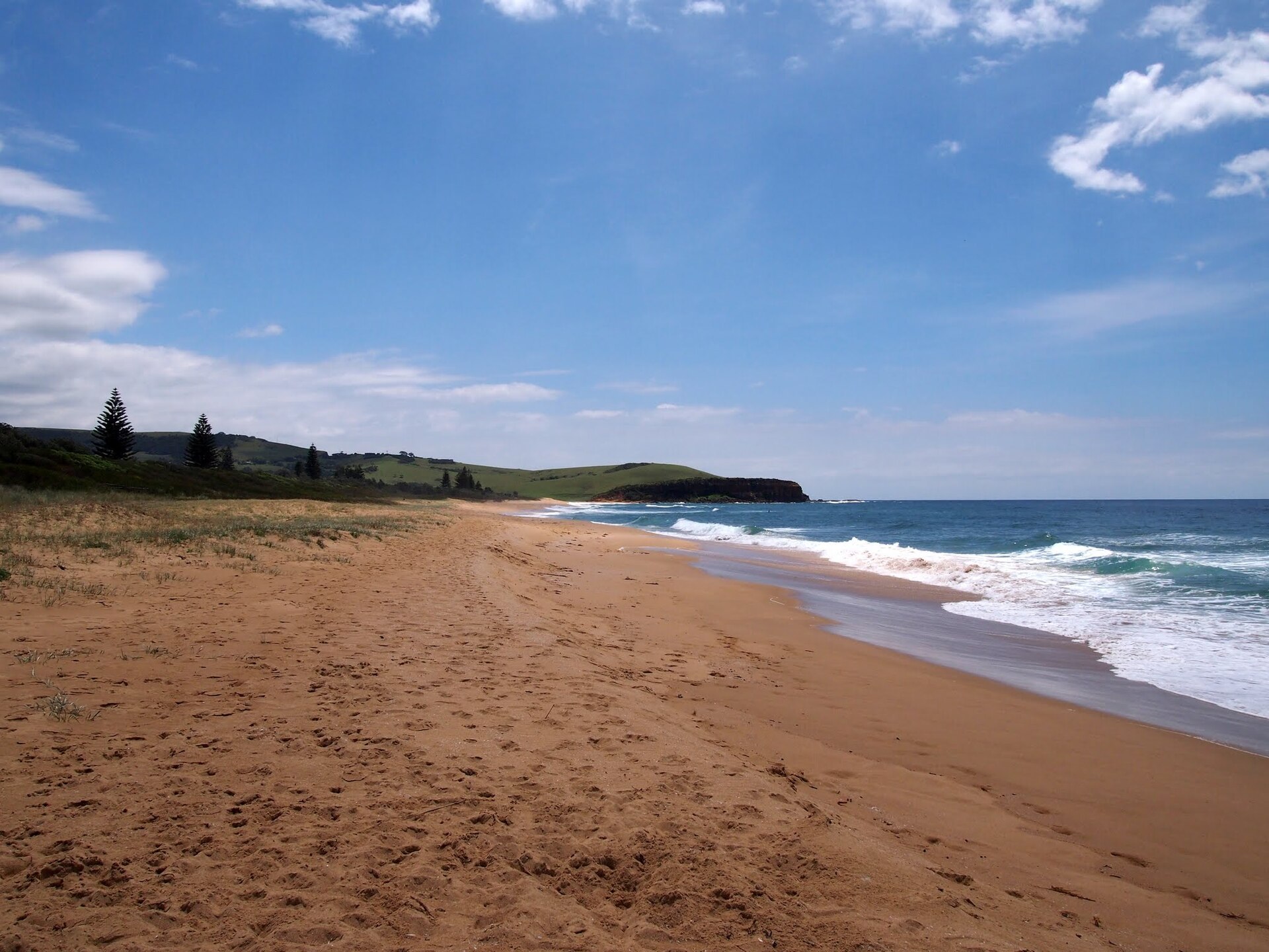 Looking north on Werri beach - panoramio