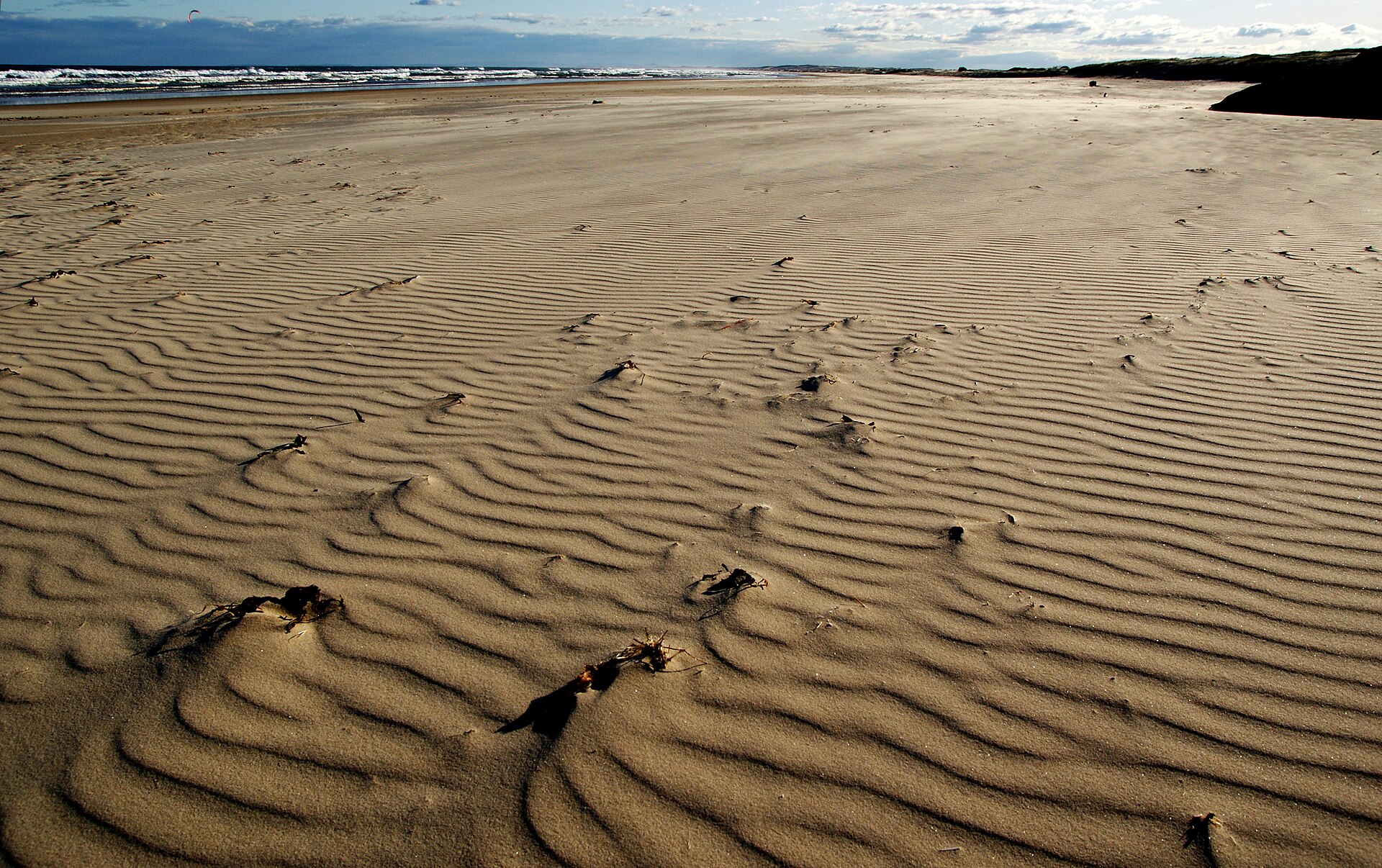 On the beach.Port Stephens NSW. (12065870185)