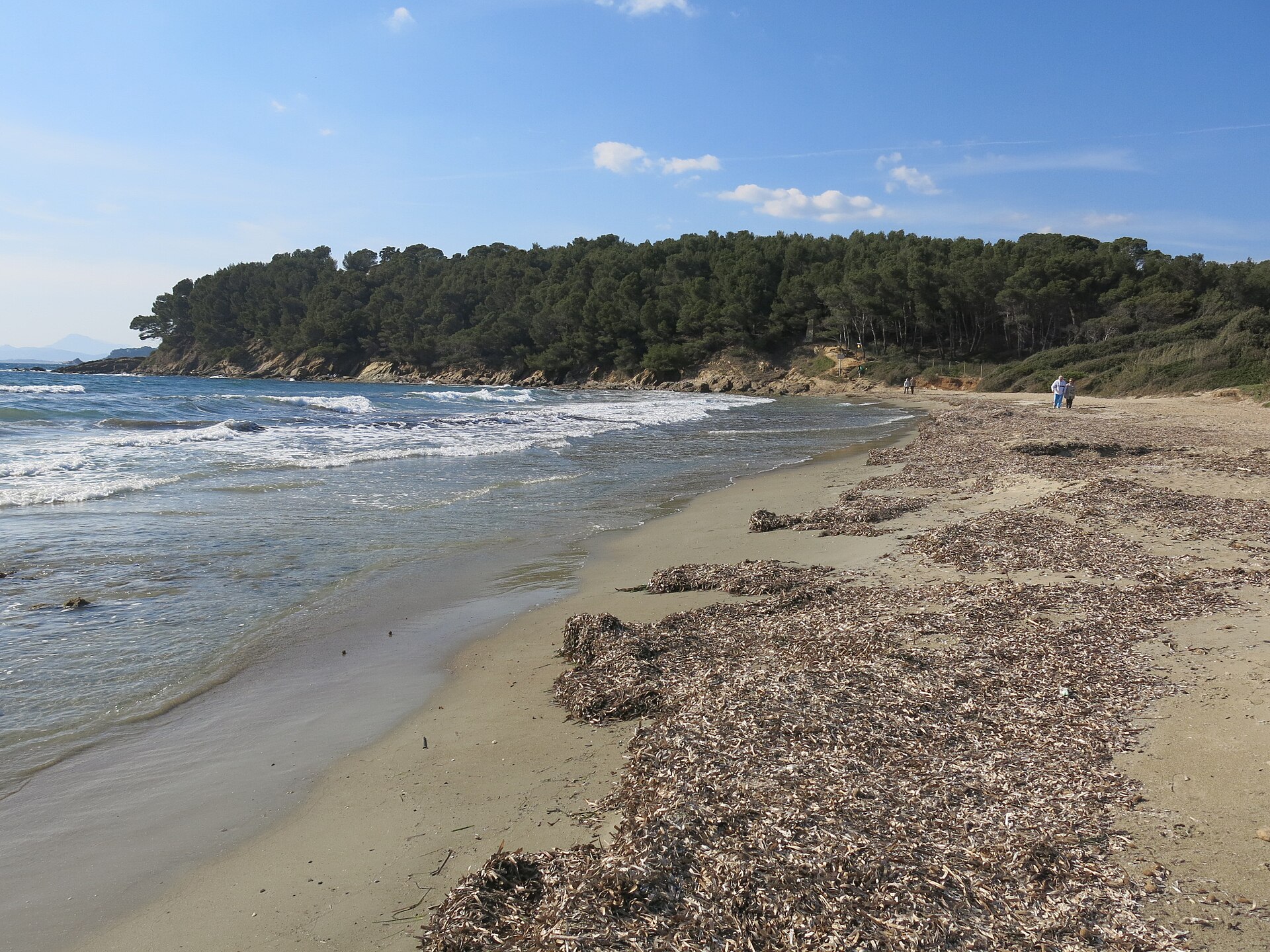 Plage de Cabasson (Bornes-les-Mimosas)