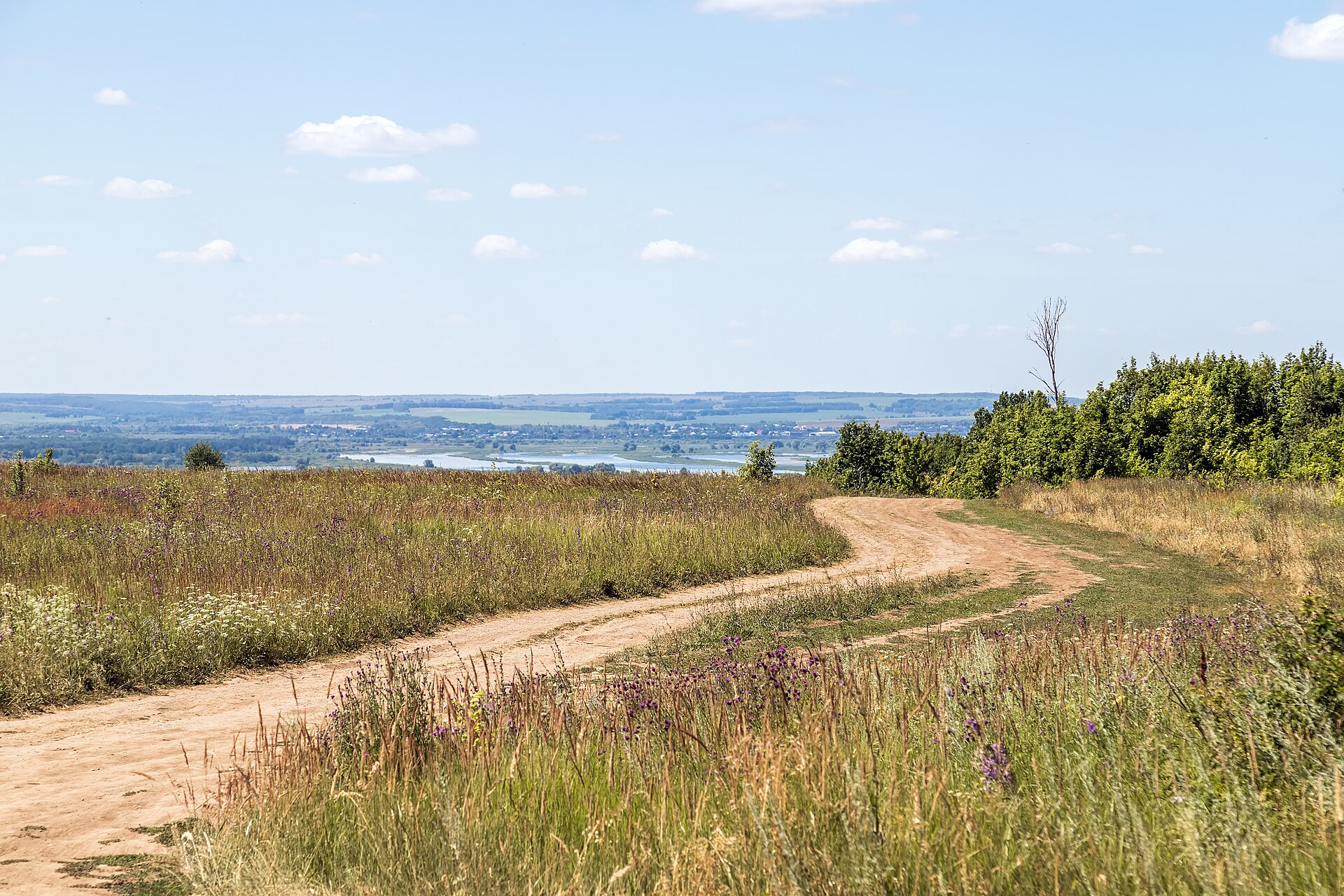 Innopolis Volga View 2024-07-15 1846