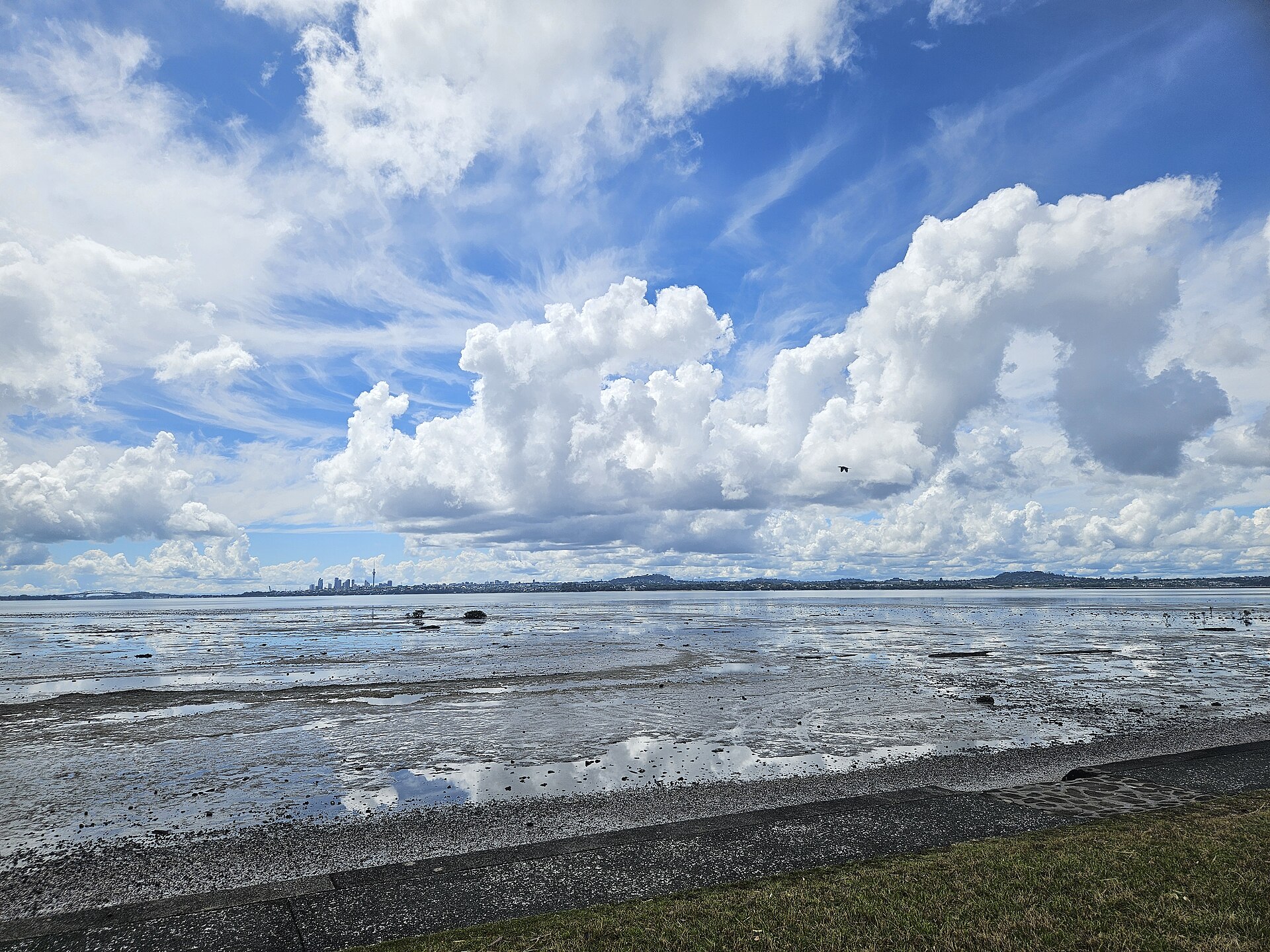 Harbourview - Orangihina Park Auckland CBD 20260103 112410
