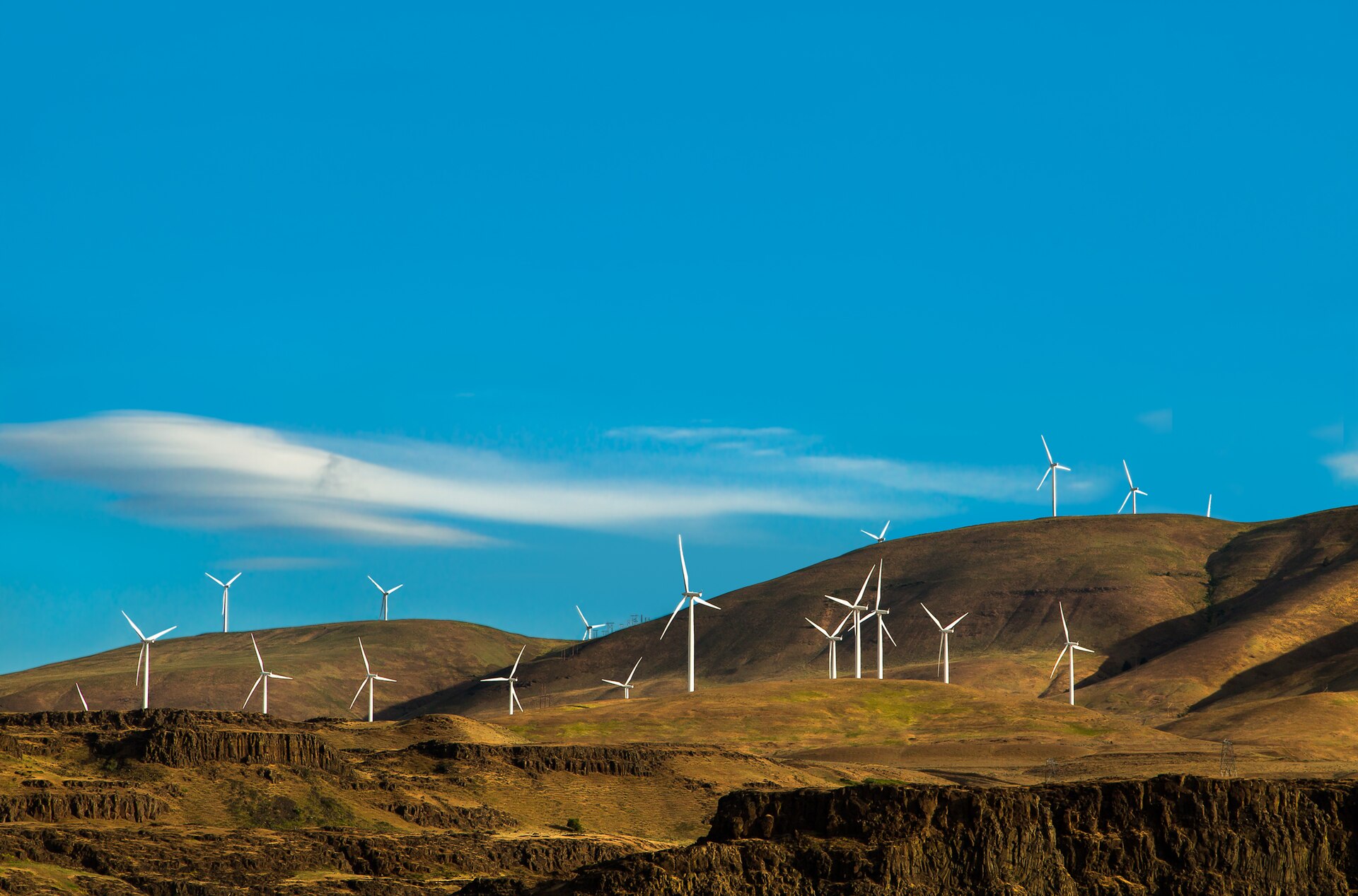 Renewable (27459069725)