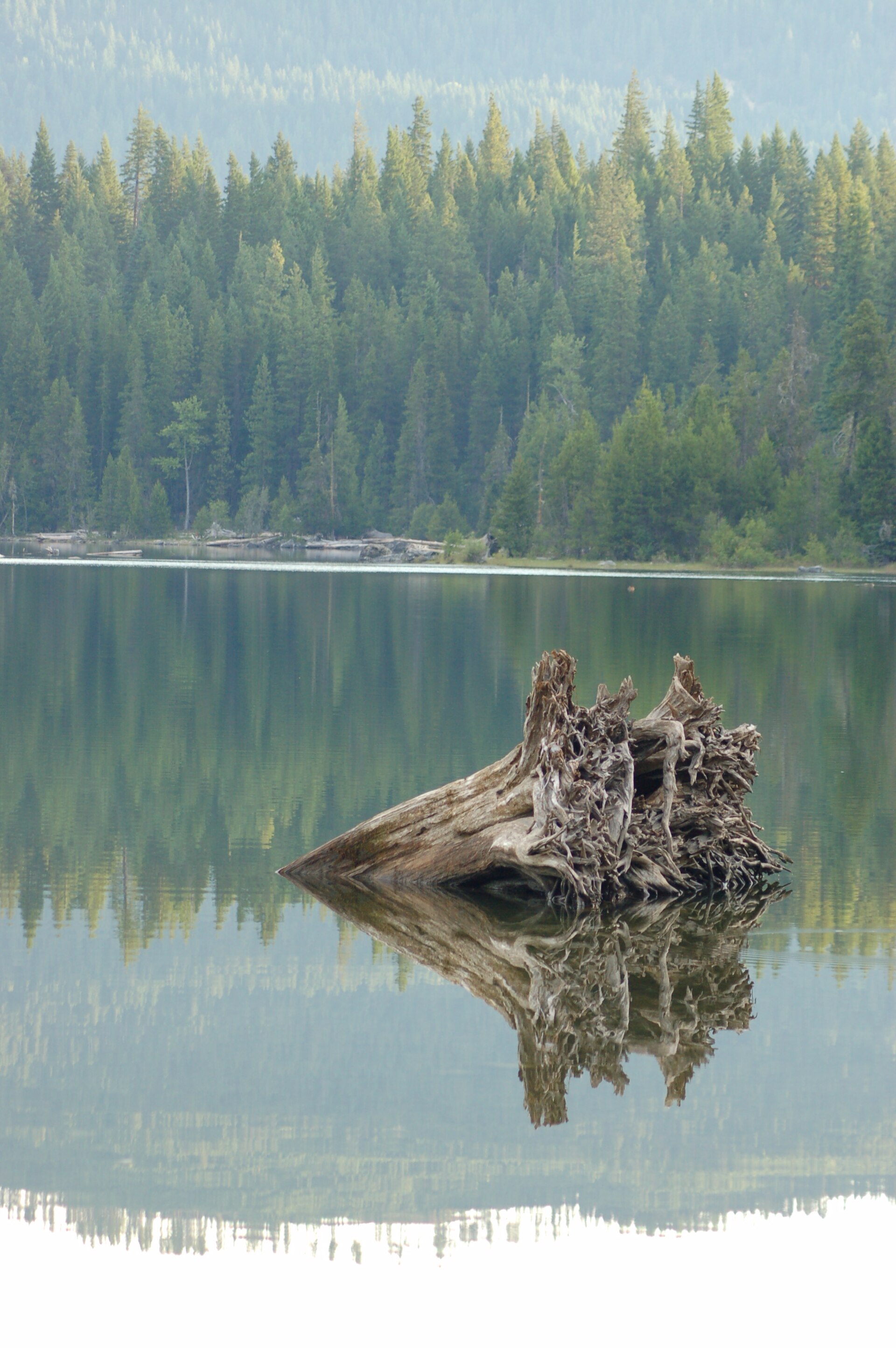 Lake Wenatchee State Park (185829664)