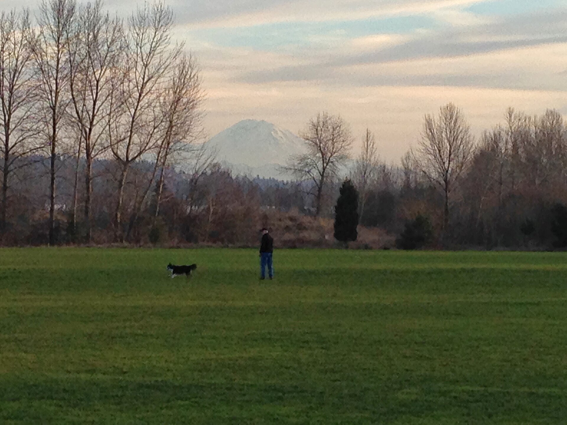 Mount Rainier from Magnuson Park