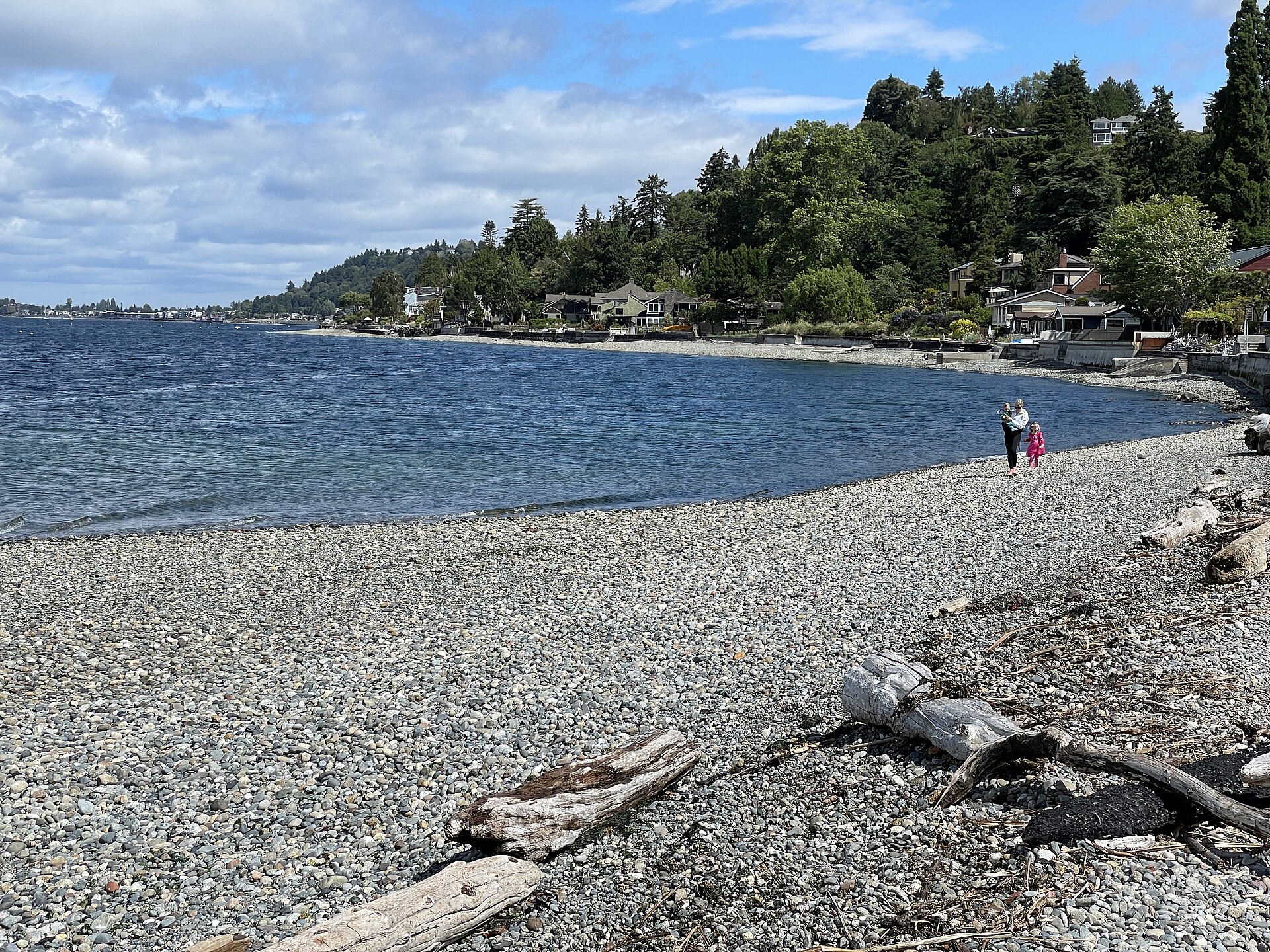 2024-06-14, Lowman Beach Park (Seattle), 110422AM