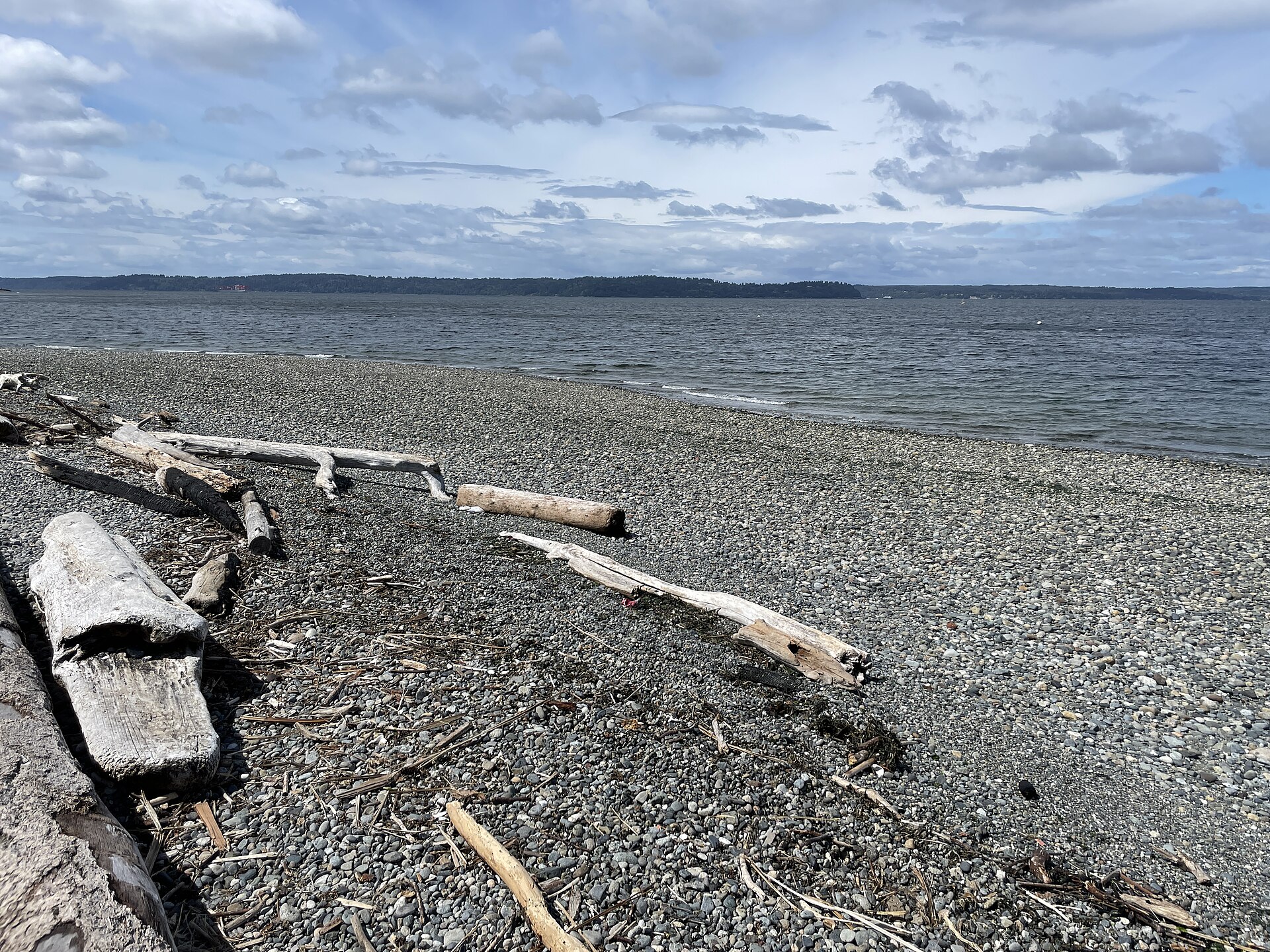 2024-06-14, Lowman Beach Park (Seattle), 110414AM